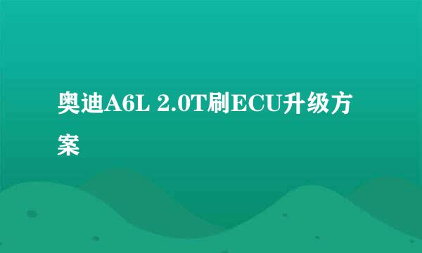 奥迪A6L 2.0T刷ECU升级方案