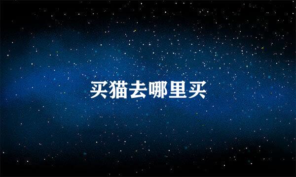 买猫去哪里买