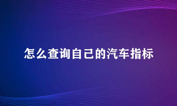 怎么查询自己的汽车指标