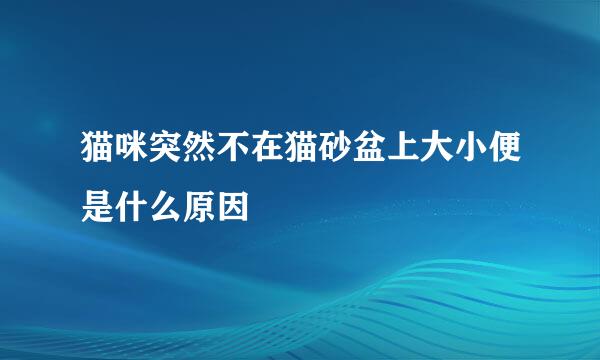 猫咪突然不在猫砂盆上大小便是什么原因