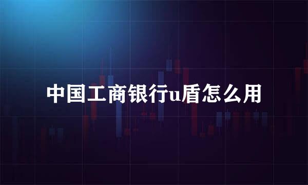中国工商银行u盾怎么用