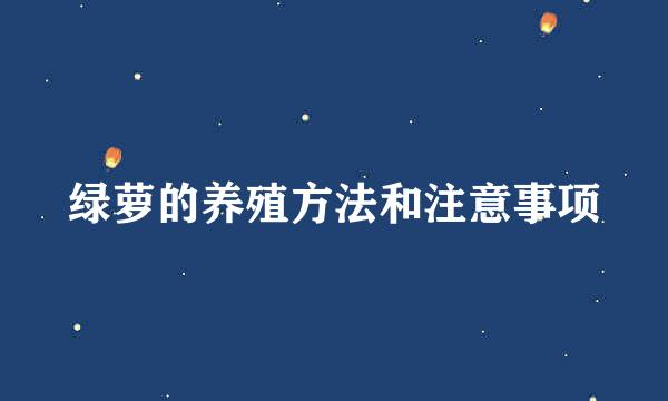绿萝的养殖方法和注意事项