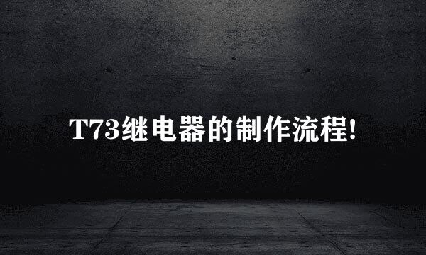 T73继电器的制作流程!