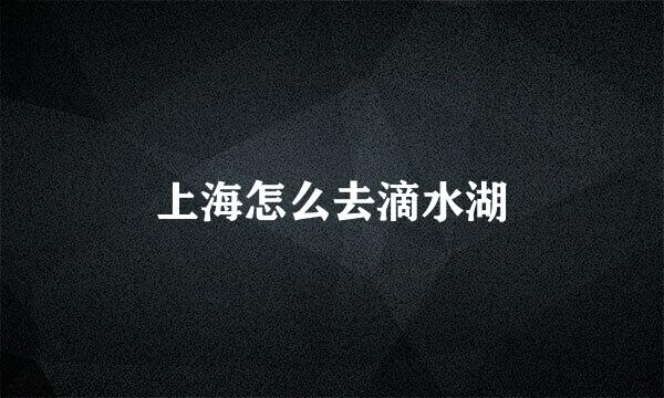 上海怎么去滴水湖