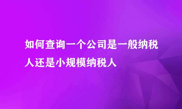 如何查询一个公司是一般纳税人还是小规模纳税人