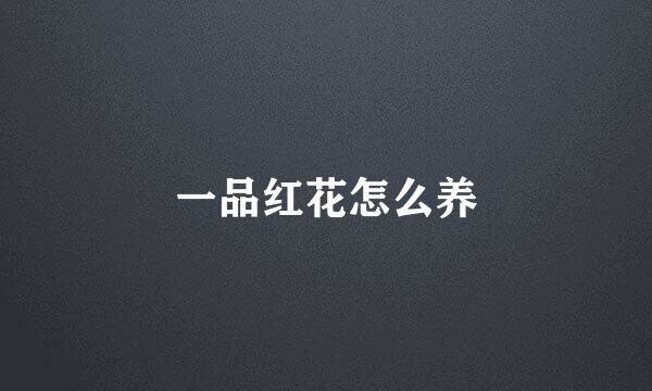一品红花怎么养
