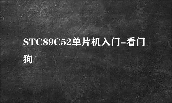 STC89C52单片机入门-看门狗