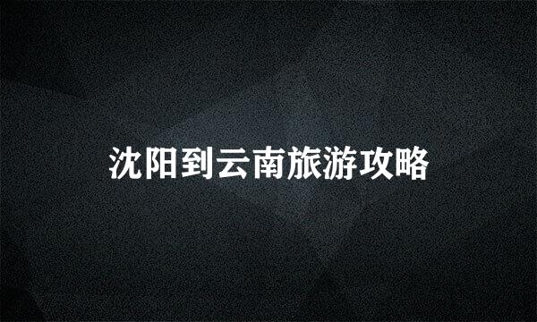 沈阳到云南旅游攻略