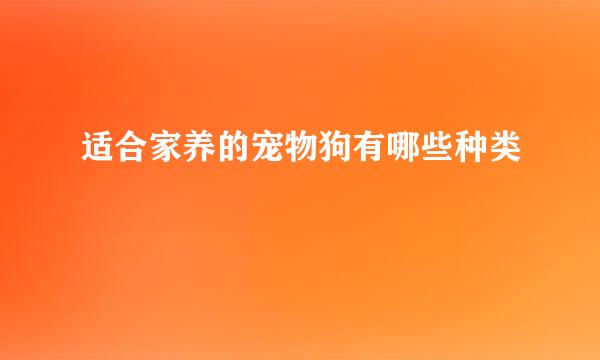 适合家养的宠物狗有哪些种类