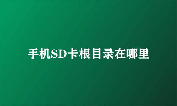 手机SD卡根目录在哪里
