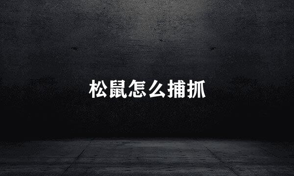 松鼠怎么捕抓