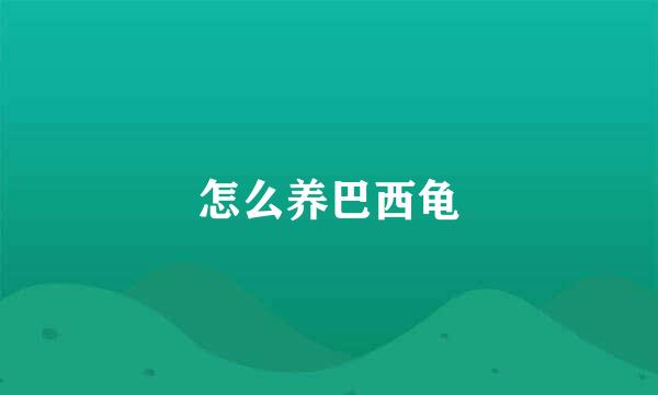 怎么养巴西龟