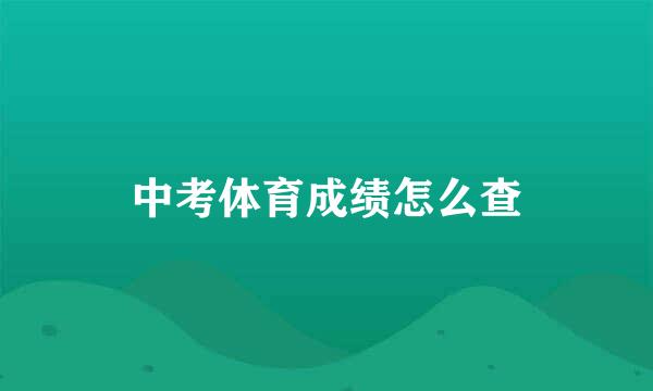 中考体育成绩怎么查