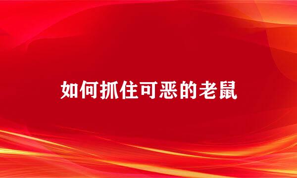 如何抓住可恶的老鼠
