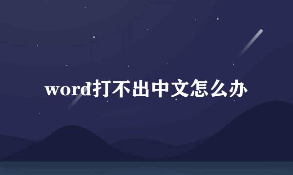 word打不出中文怎么办
