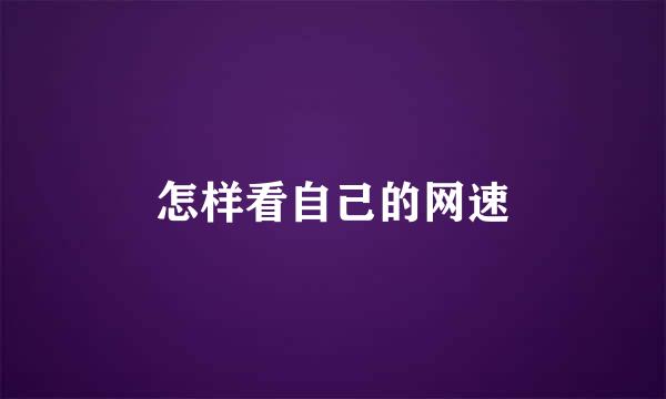 怎样看自己的网速