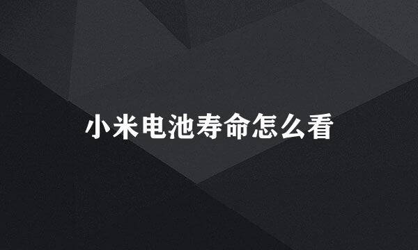 小米电池寿命怎么看