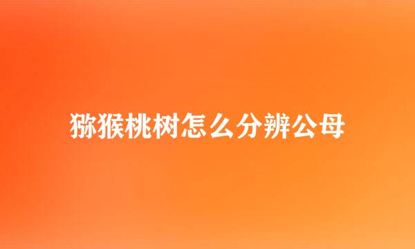 猕猴桃树怎么分辨公母