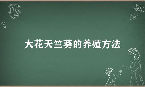 大花天竺葵的养殖方法