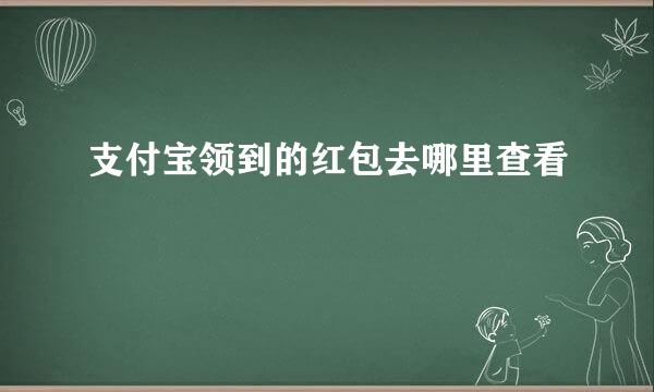 支付宝领到的红包去哪里查看