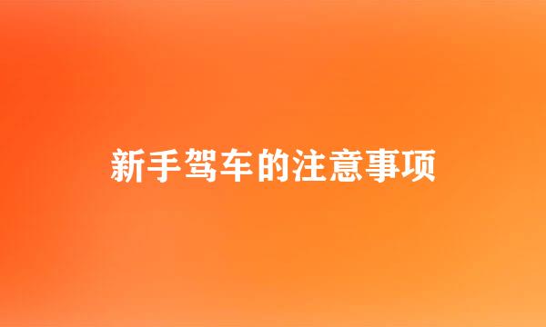 新手驾车的注意事项