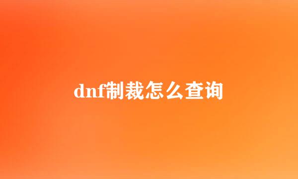 dnf制裁怎么查询