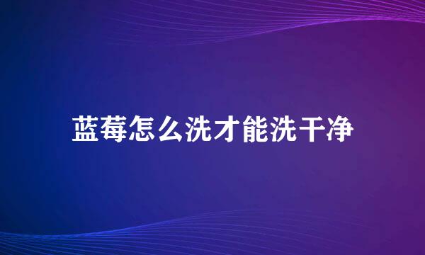 蓝莓怎么洗才能洗干净