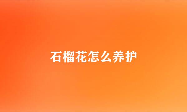 石榴花怎么养护