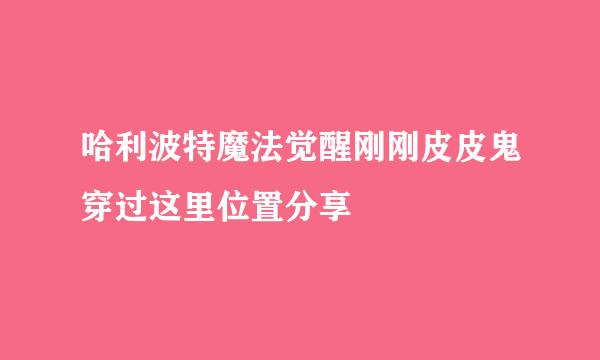 哈利波特魔法觉醒刚刚皮皮鬼穿过这里位置分享