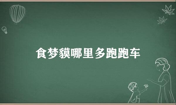 食梦貘哪里多跑跑车