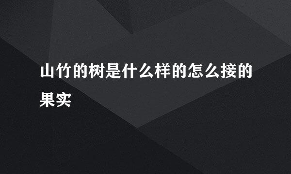 山竹的树是什么样的怎么接的果实