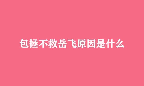 包拯不救岳飞原因是什么