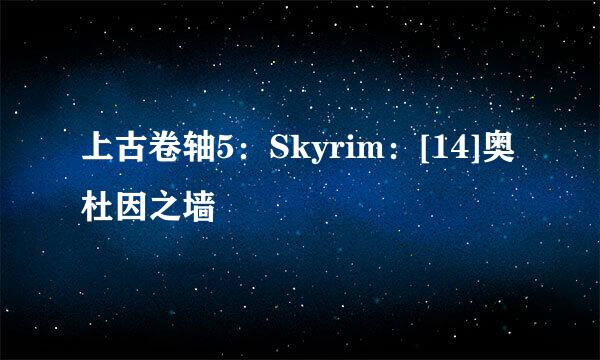 上古卷轴5：Skyrim：[14]奥杜因之墙