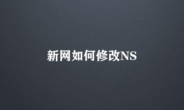 新网如何修改NS