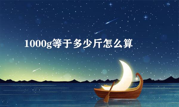 1000g等于多少斤怎么算