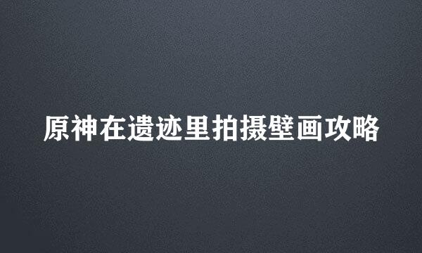 原神在遗迹里拍摄壁画攻略