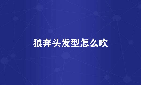 狼奔头发型怎么吹
