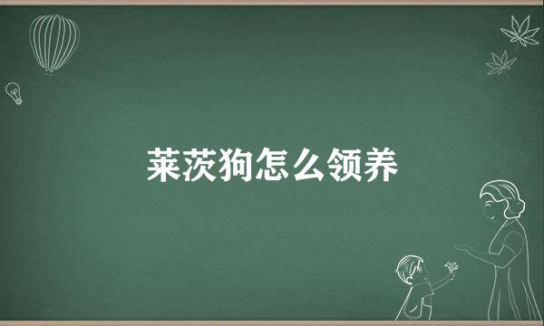 莱茨狗怎么领养