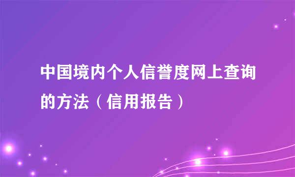 中国境内个人信誉度网上查询的方法（信用报告）