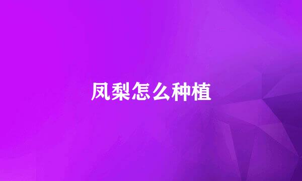 凤梨怎么种植