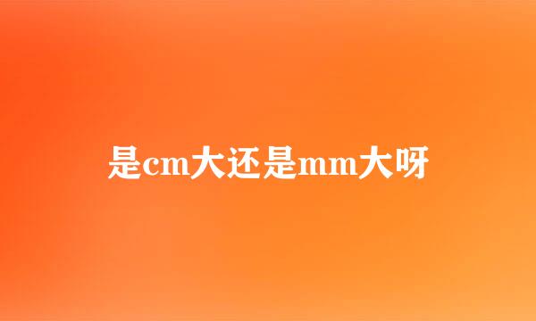 是cm大还是mm大呀