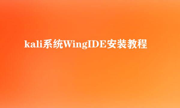 kali系统WingIDE安装教程