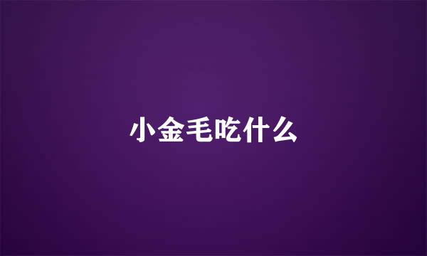 小金毛吃什么