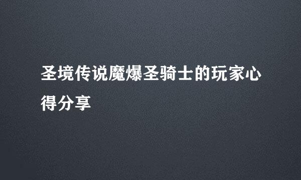 圣境传说魔爆圣骑士的玩家心得分享