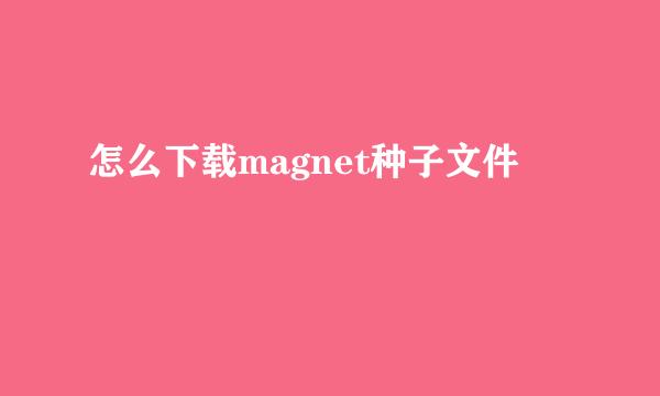 怎么下载magnet种子文件