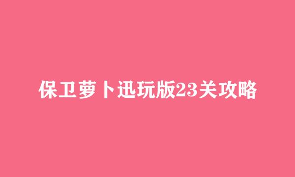 保卫萝卜迅玩版23关攻略