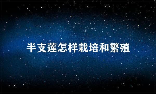 半支莲怎样栽培和繁殖
