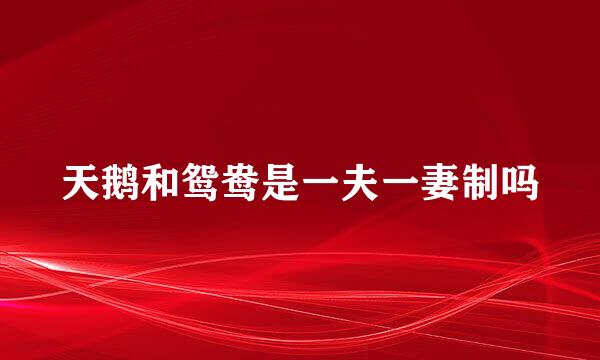 天鹅和鸳鸯是一夫一妻制吗