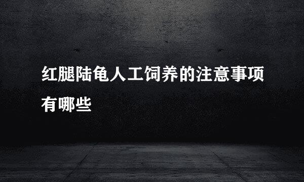 红腿陆龟人工饲养的注意事项有哪些
