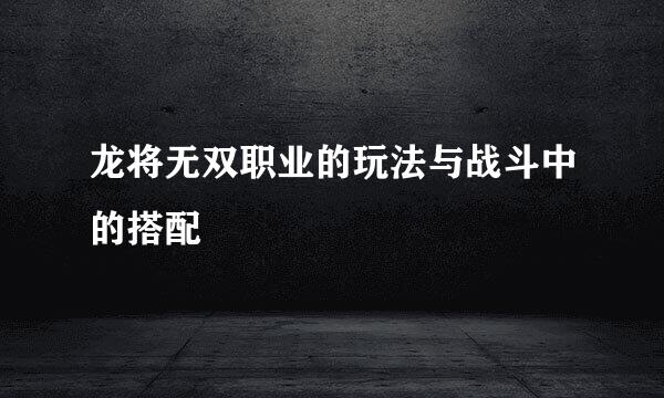 龙将无双职业的玩法与战斗中的搭配